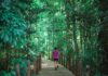 Online Running Coaching for Singapore Runners Singapore runner training in hot and humid conditions with online running coach guidance
