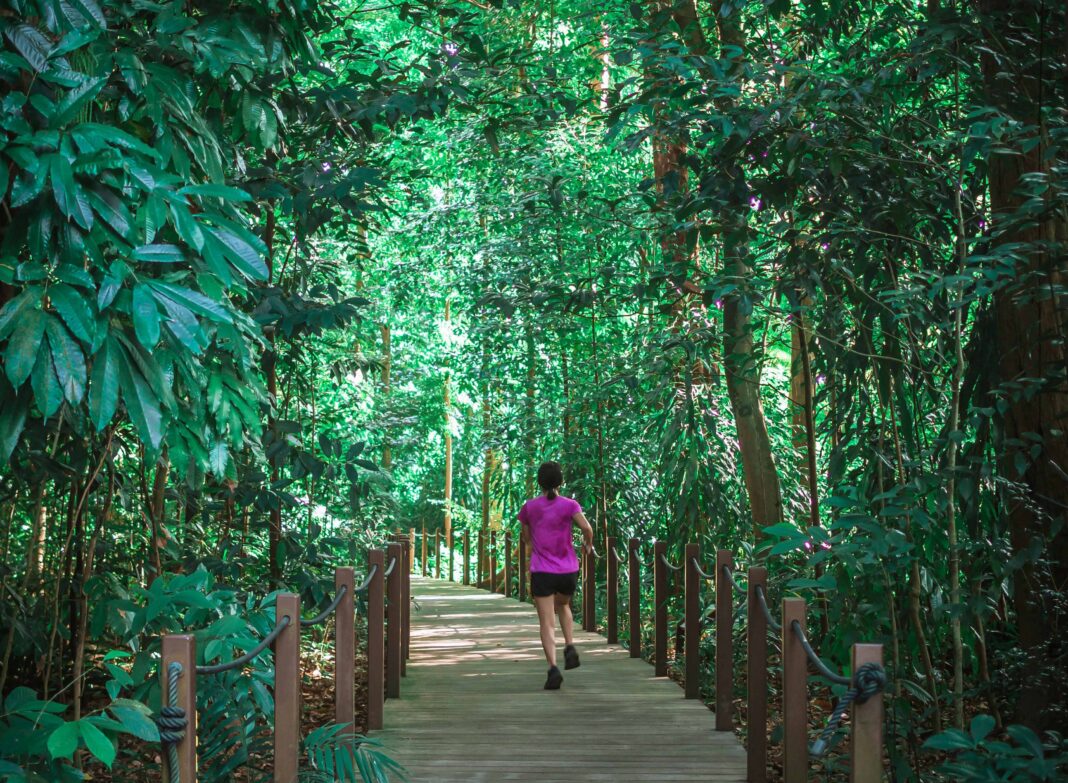 Singapore runner training in hot and humid conditions with online running coach guidance